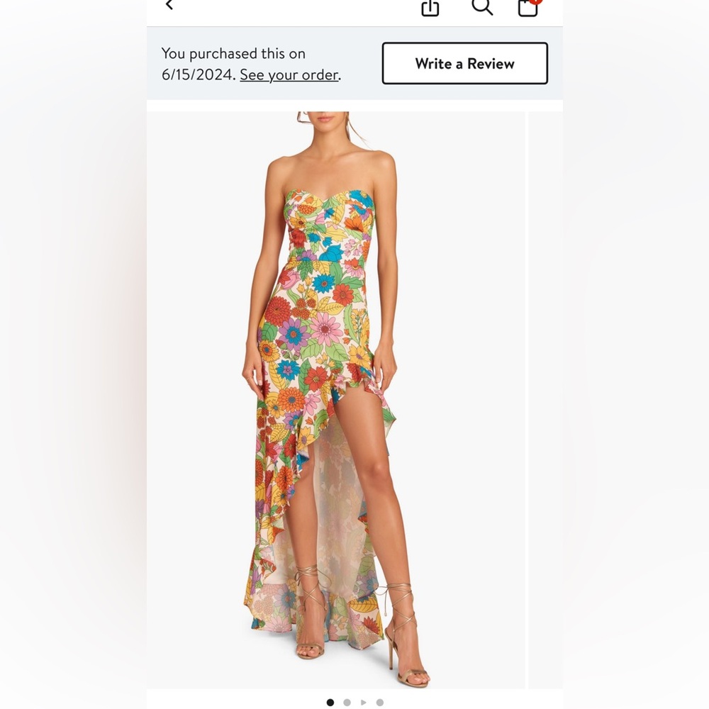 Amanda Uprichard Eden Floral Ruffle High-Low Gown